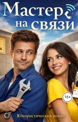 обложка книги Toru Blekvyd "мастер на связи"