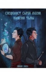 обложка книги Хохлов Павел Игоревич "Специалист сырой магии. Иллюзия тьмы."