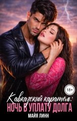 обложка книги Майя Линн "Кавказский каратель:ночь в уплату долга"