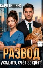 обложка книги Варя Тишина "Развод. Уходите, счёт закрыт!"