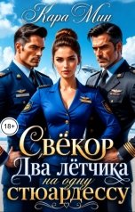 обложка книги Кара Мин "Свёкор. Два лётчика на одну стюардессу"