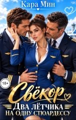 обложка книги Кара Мин "Свёкор. Два лётчика на одну стюардессу"