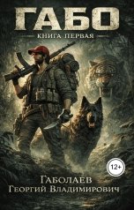 обложка книги Георгий Габолаев "Габо: Книга первая"