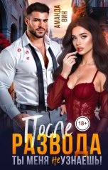обложка книги Аманда Вин "После развода. Ты меня не узнаешь!"