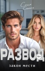 обложка книги Стася Сойка "Развод. Закон мести"