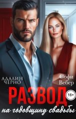 обложка книги Софи Вебер, Адалин Черно "Развод на годовщину свадьбы"