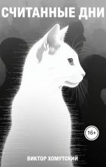 обложка книги Виктор Хомутский "Считанные дни"