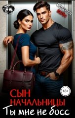 обложка книги Саломея Вейн "Сын начальницы. Ты мне не босс"