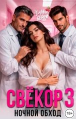 обложка книги Черри Берри "Свёкор. Ночной обход 3"