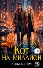 обложка книги Айна Вентру "Кот на миллион"