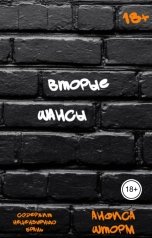 обложка книги Анфиса Шторм "Вторые шансы"