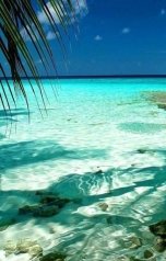 обложка книги Дин Викодин, СТИВЕН КИНГ,  СЕСТРЫ ВАЧОВСКИ , БРАТЬЯ КЛИЧКО "МАТРИЦА. ПЕРЕДОЗИРОВКА."