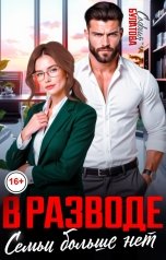 обложка книги София Булатова "В разводе. Семьи больше нет!"