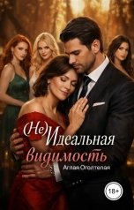 обложка книги Аглая Оголтелая "(Не) Идеальная Видимость"