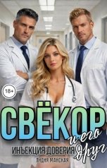 обложка книги Лидия Майская "Свёкор и его друг. Инъекция доверия."