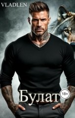 обложка книги Vlalden "Булат"