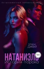 обложка книги Мэри Джей "Натаниэль. История порока"
