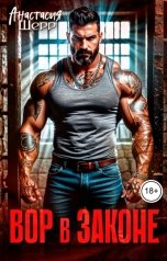 обложка книги Анастасия Шерр "Вор в законе"