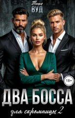 обложка книги Таша Вуд "Два босса для скромницы 2"