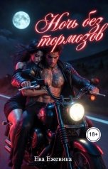 обложка книги Ева Ежевика "Ночь без тормозов"