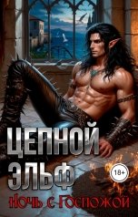 обложка книги Регина Птица Нар-Шах "Цепной эльф. 3. Ночь с Госпожой"