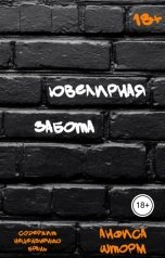 обложка книги Анфиса Шторм "Ювелирная забота"