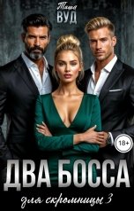 обложка книги Таша Вуд "Два босса для скромницы 3"