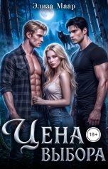 обложка книги Элиза Маар "Цена выбора"