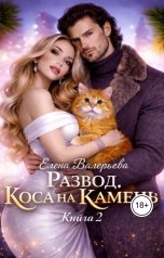 обложка книги Елена Валерьева "Развод. Коса на камень-2"