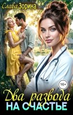обложка книги Слава Зорина "Два развода на счастье"