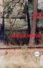 обложка книги Андрей Ланиус "Бедный Михаил"