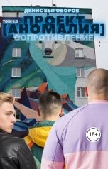 обложка книги Денис Выговоров "Проект Аномалия. Том 3,5. Сопротивление"