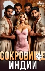 обложка книги Лера Орео "Сокровище Индии"