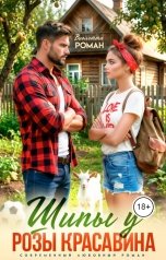 обложка книги Виолетта Роман "Шипы у Розы Красавина"