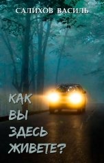 обложка книги Салихов Василь "Как вы здесь живете?"