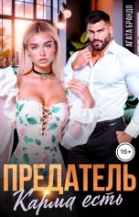 обложка книги Агата Брандо "Предатель. Карма есть"