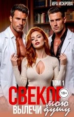 обложка книги Ира Искрова "Свекор, вылечи мою душу"