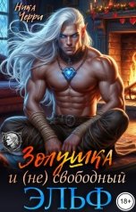 обложка книги Ника Черри "Золушка и (не) свободный Эльф"