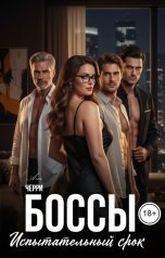 обложка книги Ана Черри "Боссы. Испытательный срок"
