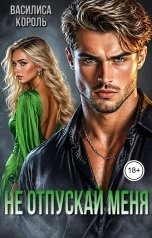 обложка книги Василиса Король "Не отпускай меня"