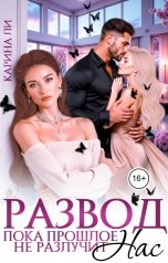 обложка книги Карина Ли "Развод. Пока прошлое не разлучит нас"