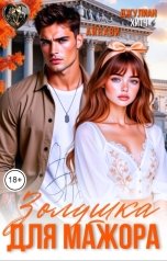 обложка книги Айнави, Джулиан Хитч "Золушка для мажора"