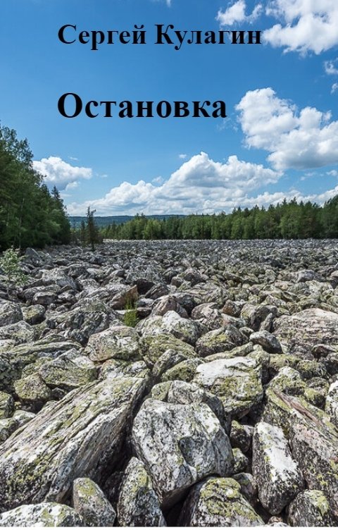 Обложка книги Сергей Кулагин Остановка