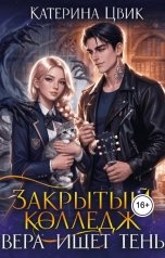 обложка книги Катерина Цвик "Закрытый колледж. Вера ищет тень"