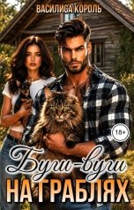обложка книги Василиса Король "Буги-вуги на граблях"