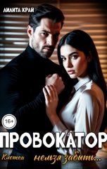 обложка книги Лилита Край "Провокатор. Нельзя забыть..."