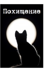 обложка книги Виктория Килеева "Похищение"