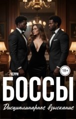 обложка книги Ана Черри "Боссы. Дисциплинарное взыскание"