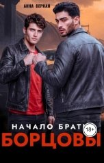 обложка книги Анна Верная "Братья Борцовы. Начало"