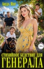 обложка книги Аида Янг "Стихийное бедствие для генерала"